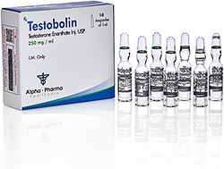 Testobolin Testosterone Enanthate 250mg vial Alpha Pharma