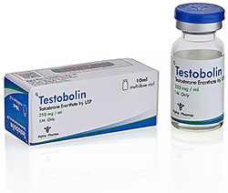 Testobolin Testosterone Enanthate 250mg vial Alpha Pharma