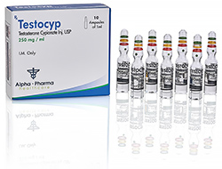 Testocyp Testosterone Cypionate U.S.P. 250mg ampoules Alpha Pharma